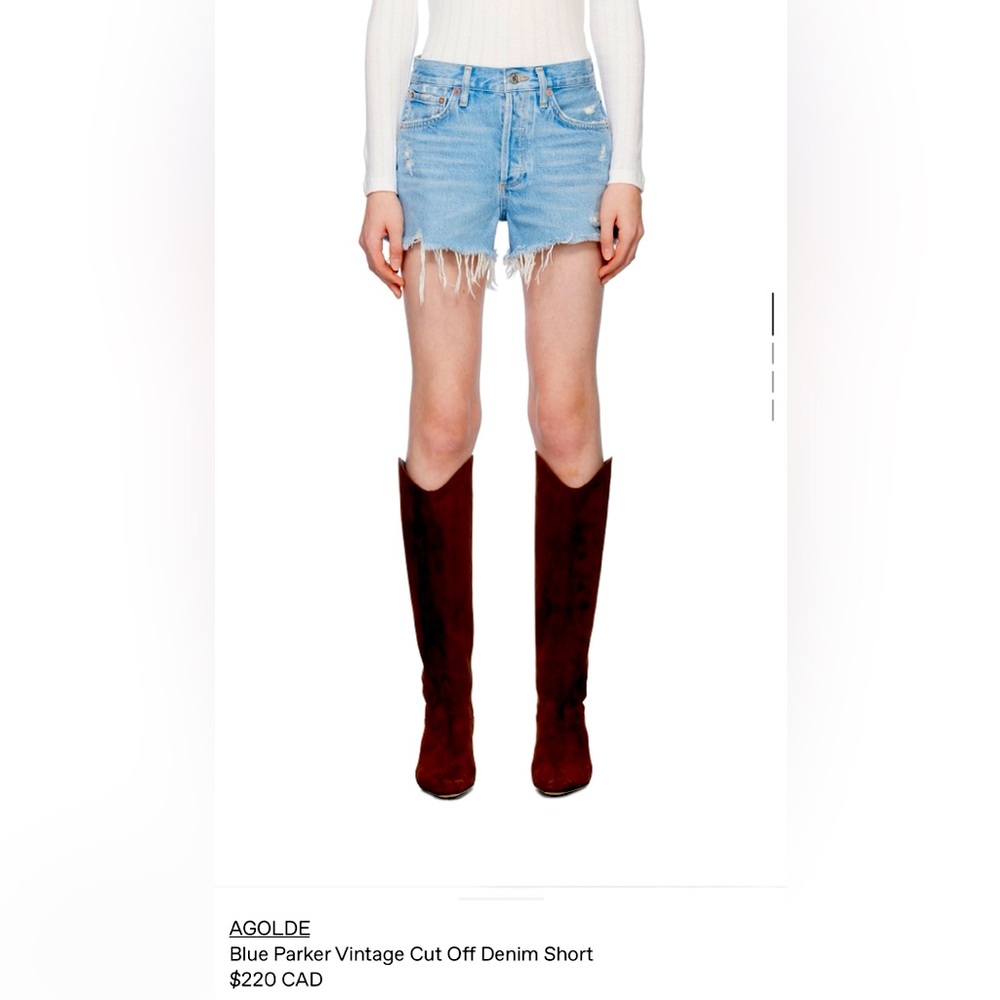 New! AGOLDE Parker Vintage Cut Off Short in Swapmeet, size 24 - current item